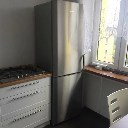 Komfortowe Mieszkanie 公寓 鲁达希隆斯卡